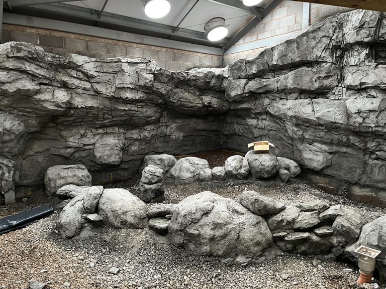rockwork at chester zoo african zone