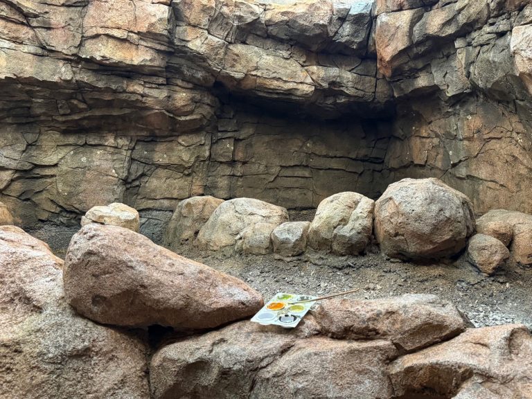 finished rock theming at chester zoo