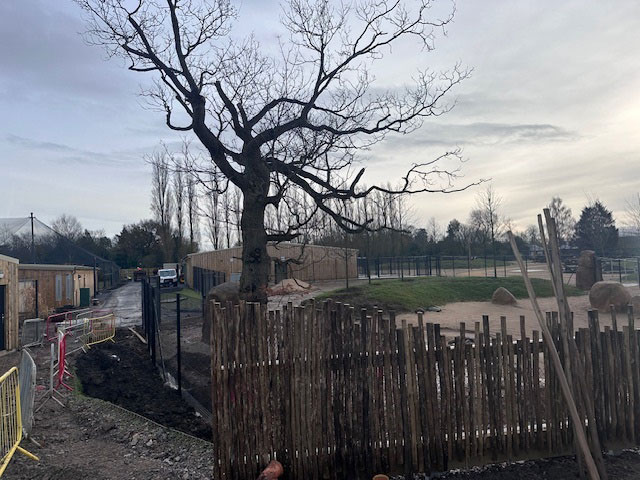 Exterior works at Chester Zoo