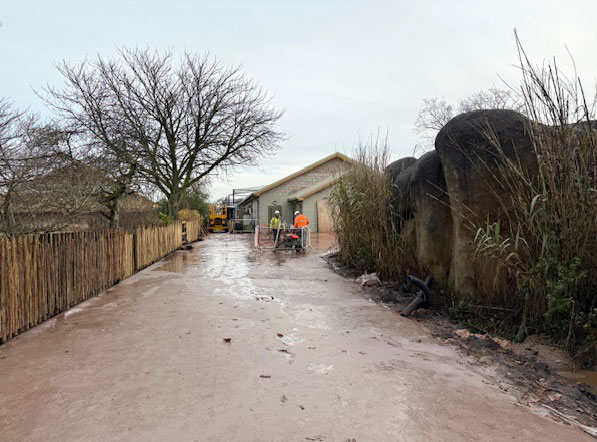 Poured concrete at Chester Zoo
