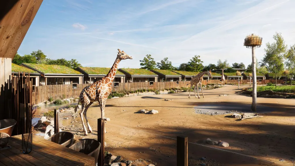 McPhillips starts work on safari-style luxury lodge accommodation after completing showpiece Heart of Africa project