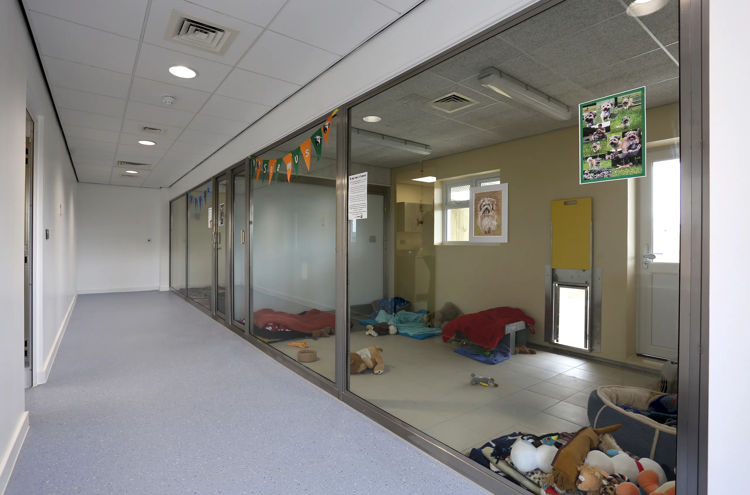 Dogs Trust, Evesham — construction photo 2