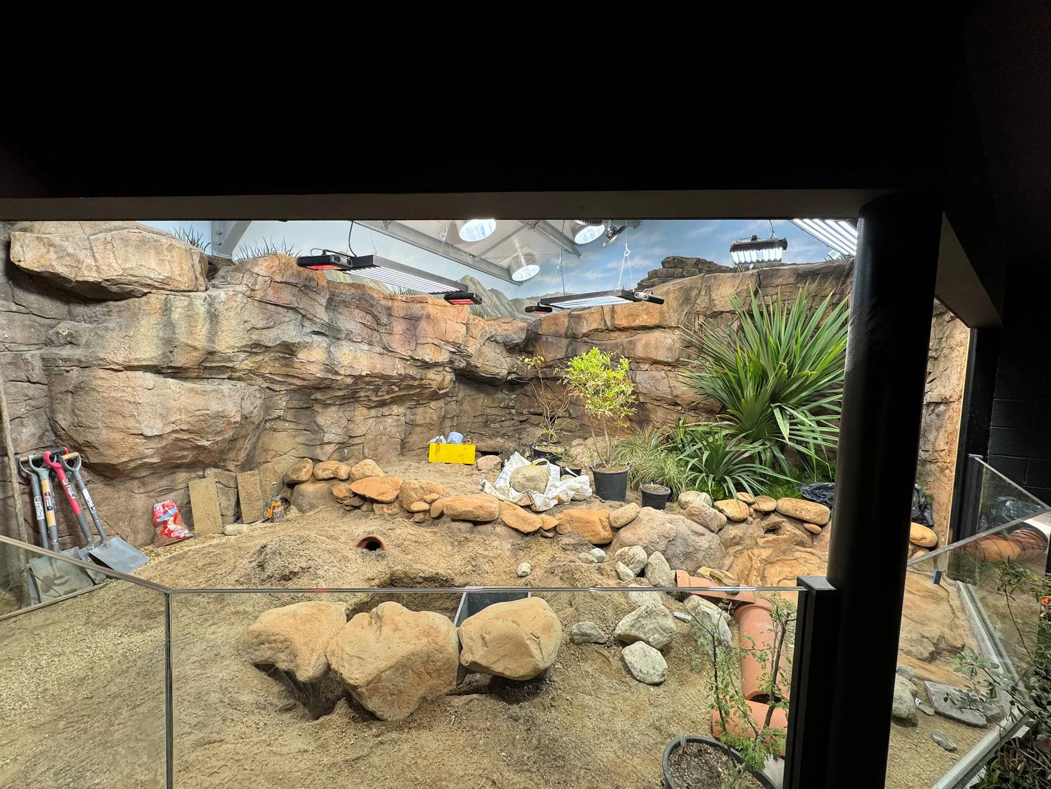 Chester Zoo Heart of Africa — construction photo 10